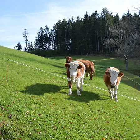 Ferienwohnung Bopper Ursula Schneider Apartament Triberg im Schwarzwald