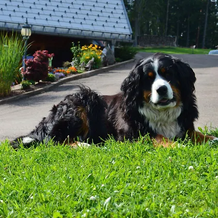 Ferienwohnung Bopper Ursula Schneider Apartament Triberg im Schwarzwald