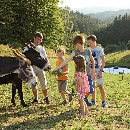Ferienwohnung Bopper Ursula Schneider * Triberg im Schwarzwald